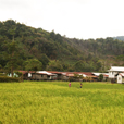 4D3N Bario Highlands Adventure