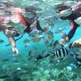 Mantanani Island