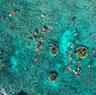 Mengalum Island