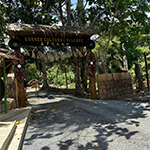Borneo Cultural Village + Mangrove Cruise & Fireflies