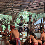 Borneo Cultural Village + Mangrove Cruise & Fireflies