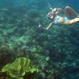 3D2N Kota Kinabalu + Island Excursion