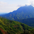 3D2N Kota Kinabalu + Kinabalu Park Heritage ( 1 night at Kundasang )