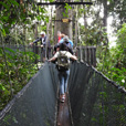 4D3N Kota Kinabalu + Kinabalu Park Heritage + Island Excursion (1 night at Kundasang)