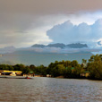 Kawa Kawa Mangrove And Fireflies Cruise