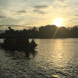 Kawa Kawa Mangrove And Fireflies Cruise