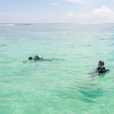 Mantanani Island + Kawa Kawa Mangrove & Fireflies