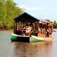 Mantanani Island + Kawa Kawa Mangrove & Fireflies