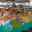 4D3N Kota Kinabalu + Kinabalu Park Heritage + Island Excursion