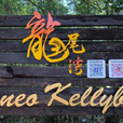 4D3N Kota Kinabalu + Island Excursion + Cultural Village + Mangroves Cruise