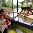 Bongawan Mangrove Cruise + Sky Mirror + Fireflies