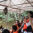 Bongawan Mangrove Cruise + Sky Mirror + Fireflies
