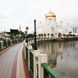 Full Day Brunei City Tour
