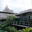 4D3N Semenggoh Orang Utan + River Cruise + Sarawak Cultural Village