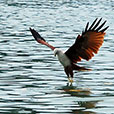 4D3N Langkawi Explorer