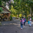 Borneo Tropical Rainforest Resort Tours