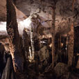 4D3N Miri City + Mulu Caves