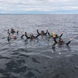4D3N Miri Leisure Dive (FOR CERT DIVER)