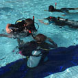 PADI Discover Scuba Dive (DSD) (FOR NON-CERT DIVER)