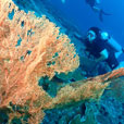 PADI Advanced Open Water Course