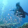 5D4N Luconia Shoals Diving (Liveaboard)
