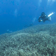 5D4N Luconia Shoals Diving (Liveaboard)