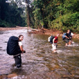 4D3N Mulu Caves + Headhunter Trails