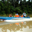 Fireflies and Mangroves Cruise