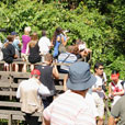 Sepilok Orang Utan Rehabilitation Centre + Rainforest Discovery Centre + Labuk Bay Proboscis Monkey Sanctuary