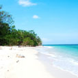 2D1N Selingan Island (Turtle Island)
