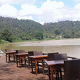 2D1N Borneo Natural Resort (Sukau Wildlife Tours)