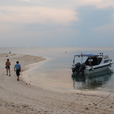 2D1N Selingan Turtle Island & Sepilok Orang Utan