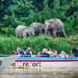 2D1N Selingan Turtle Island & Sepilok Orang Utan