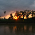 4D3N Selingan Turtle Island + Sepilok Orang Utan +  Kinabatangan River