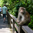 3D2N Sandakan Historical + Wildlife Tour