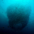 4D3N / 5D4N / 6D5N Seaventures Dive Rig