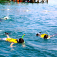 Mabul + Kapalai Day Trip