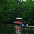 4D3N Semporna Island Hopping + Fireflies + Mongrove Cruise