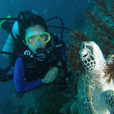 Semporna Fun Diving (For Cert Diver)