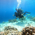 5D4N Semporna Island Hopping (2 Nights At Sipadan Kapalai Dive Resort)